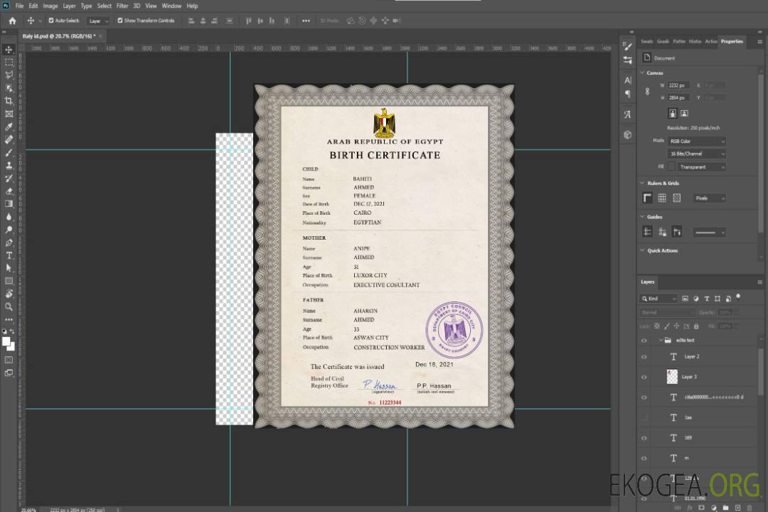 Modèle PSD de certificat de naissance d'état civil en Égypte template Modèle PSD de certificat de naissance d'état civil en Égypte template